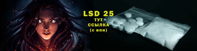 PSILOCYBIN Нея