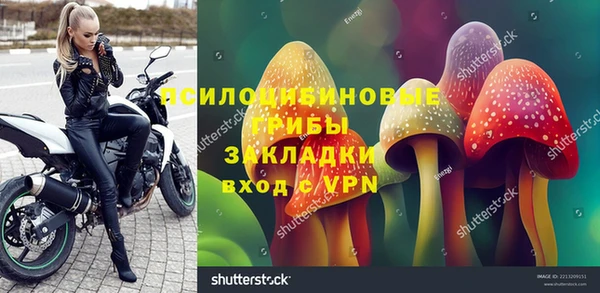 PSILOCYBIN Нея